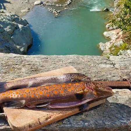 River And Mounts * Campertogno